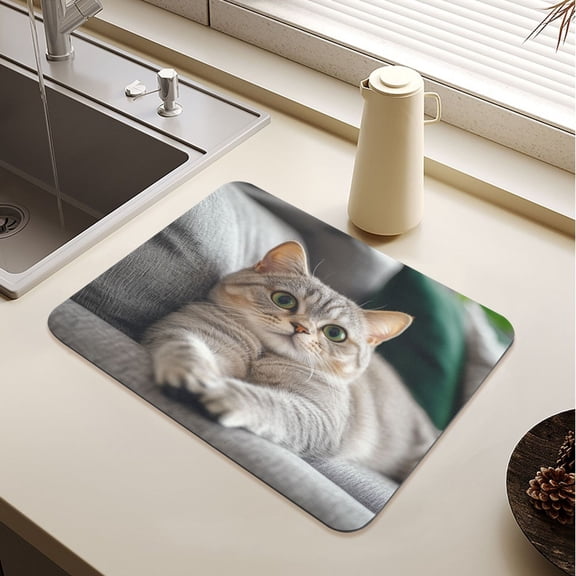 Cute English Shorthair Cat Drying Mat Diatomaceous Earth Super Absorbent Slip Rubber Sole Heat Resistant 230 Degrees Fahrenheit 23.619.7in