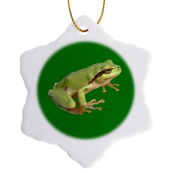 3drose, Cute European Green Tree Frog Cut Out, 3 inch Snowflake Porcelain Ornament