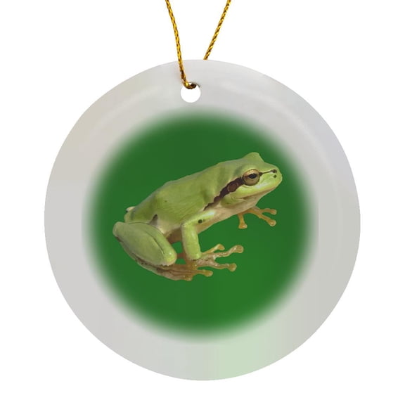 3drose, Cute European Green Tree Frog Cut Out, Circle Porcelain Ornament
