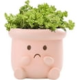 thumbnail image 1 of Cute Face Planter Pot, Small Resin Head Planters for Indoor Plants, Funny Smiling Face Flower Pot Succulent Planter with Drainage Hole, Gift IdeaI for Birthday Christmas (Pink), 1 of 15