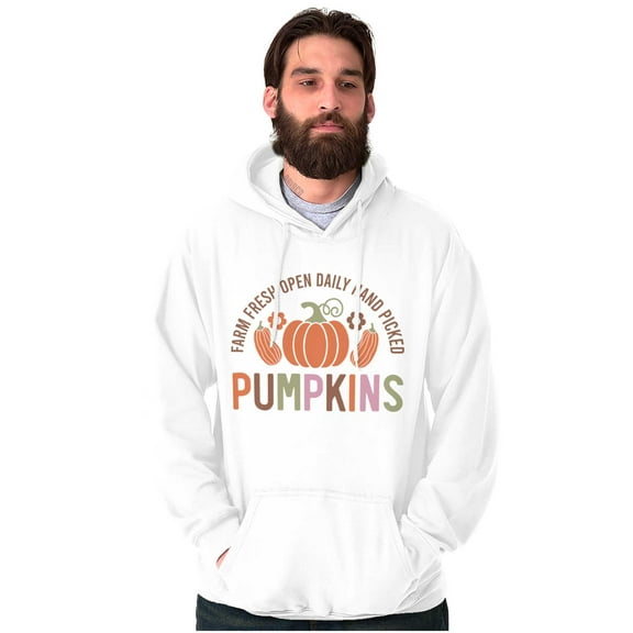 Cute Fall Autumn Farm Fresh Pumpkins Unisex Plus Fleece Graphic Hoodie Brisco Brands 3X