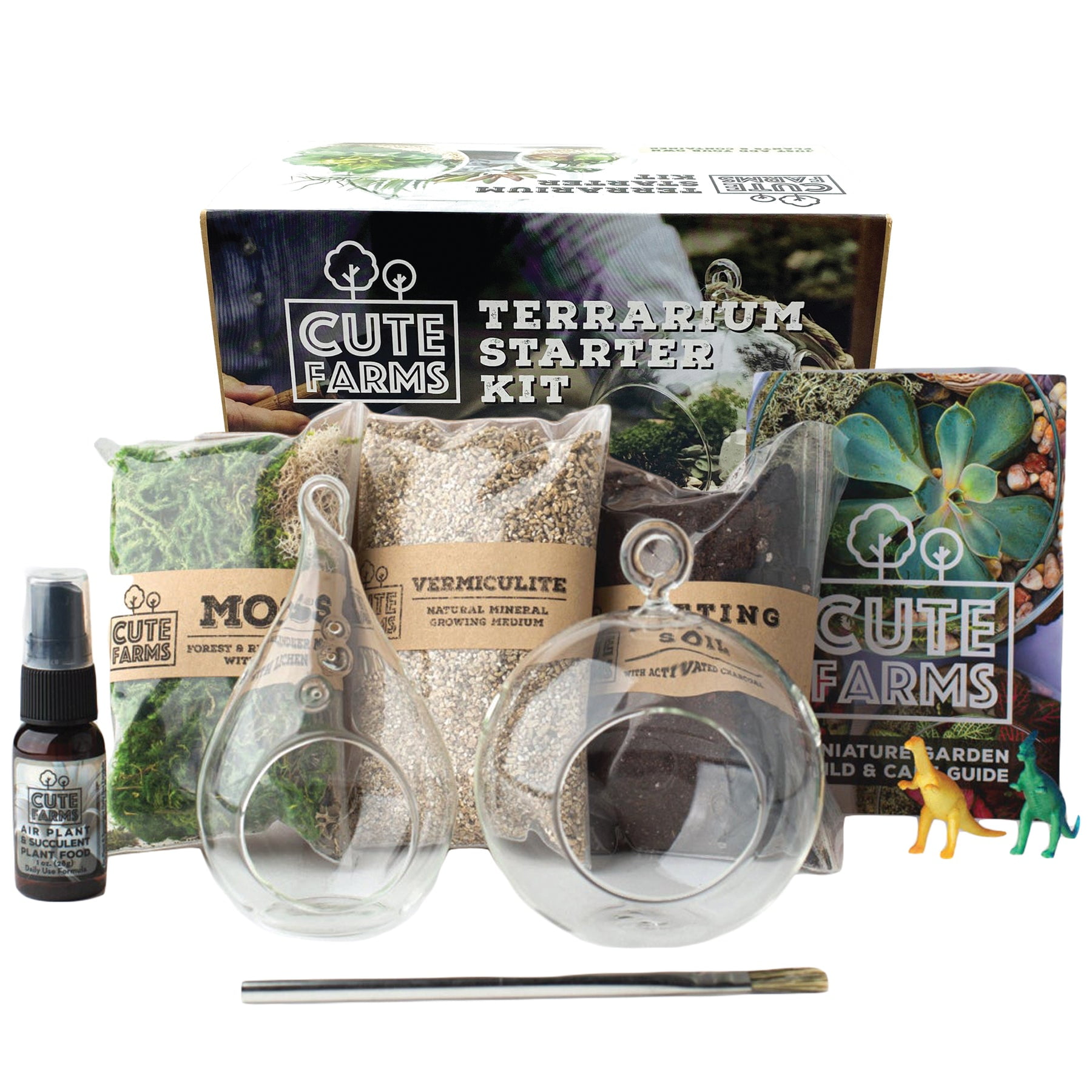 Cute Farms Succulent Plant Terrariums Starter Kit