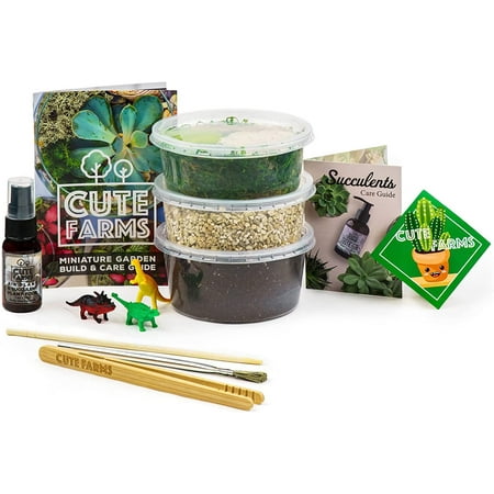 Cute Farms Terrarium Starter Kit for Adults and Kids (Small Kit)