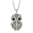 thumbnail image 1 of Cute Fashion Owl Pendant Necklaces for Women Rhinestone Diamond Animal Sweater Chain Long Charm Necklaces Jewelry Valentines Gift, 1 of 9