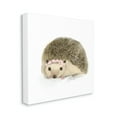 thumbnail image 1 of Cute Floral Crown Hedgehog Nursery Woodland Animal Animals & Insects Gallery-Wrapped Canvas Print Wall Art, 17x17, 1 of 2