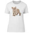 thumbnail image 1 of Cute Fluffy Kitten, British Cat T-Shirt Women -Image by Shutterstock, Female Small, 1 of 2