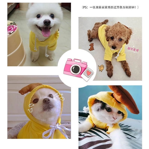 Cute Fruity Pet Cosplay Outfit for Small, Medium Dogs and Cats from a Manufacturer of Pet Clothing and Accessories