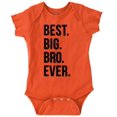 thumbnail image 1 of Cute Funny Best Big Bro Older Brother Bodysuit Jumper Boys Infant Baby Brisco Brands 6M, 1 of 6