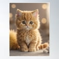 thumbnail image 1 of Cute Golden Kitty Cat Portrait Poster Wall Art, Modern Wall Decor, 8x12 UNFRAMED, 1 of 3