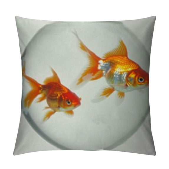 Cute Goldfish Print Long Body Pillow Coverswith Hidden Zipper Protector, for Adults Women Men