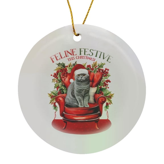 3drose, Cute Gray Scottish Fold Cat for Pet Lovers Christmas Holiday, Circle Porcelain Ornament