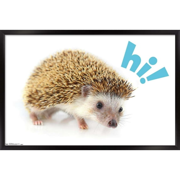 Cute Hedgehog - Hi! Wall Poster, 14.725" x 22.375", Framed