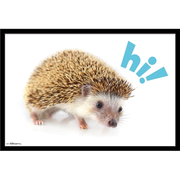 Cute Hedgehog - Hi! Wall Poster, 22.375" x 34", Framed