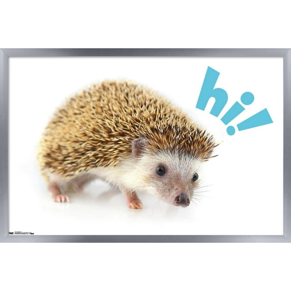 Cute Hedgehog - Hi! Wall Poster, 22.375" x 34", Framed