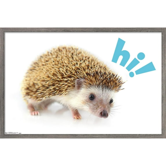 Cute Hedgehog - Hi! Wall Poster, 22.375" x 34", Framed