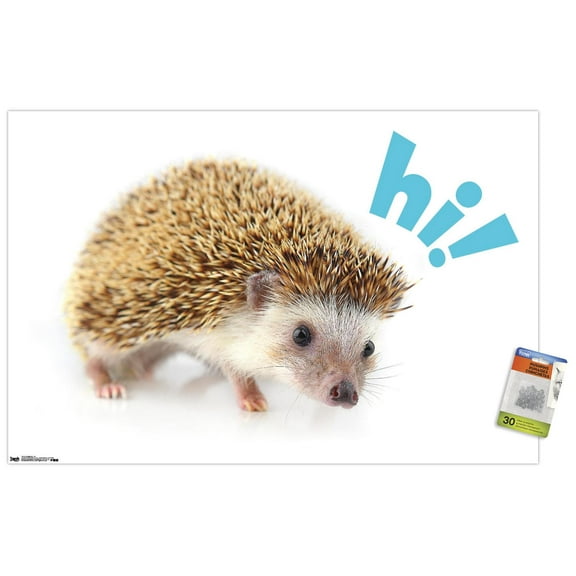 Cute Hedgehog - Hi! Wall Poster with Push Pins, 22.375" x 34"