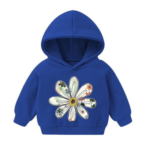 Cute Hoodies for Boys Girls Cartoon Graphic Printed Long Sleeve Cotton Hooded Sweatshirt Pullover Tops 2T-7T (5 Years, Blue 01)
