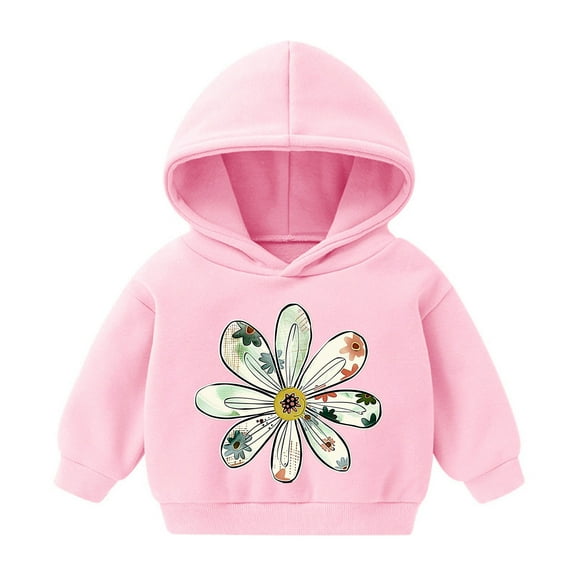 Cute Hoodies for Boys Girls Cartoon Graphic Printed Long Sleeve Cotton Hooded Sweatshirt Pullover Tops 2T-7T (6 Years, Pink 01)
