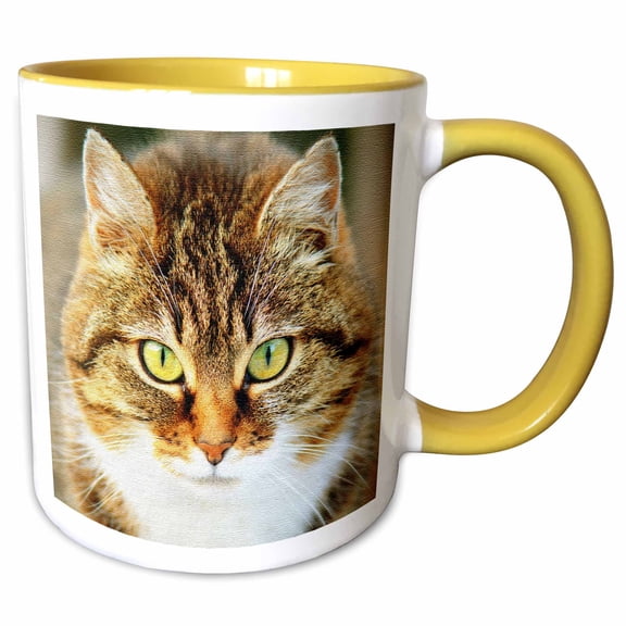 3drose, Cute Image of Cat. Domestic Cat. Cat People, Animal, Pet, Kitty, 11oz Two-tone Yellow Mug