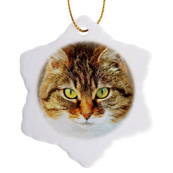 3drose, Cute Image of Cat. Domestic Cat. Cat People, Animal, Pet, Kitty, 3 inch Snowflake Porcelain Ornament
