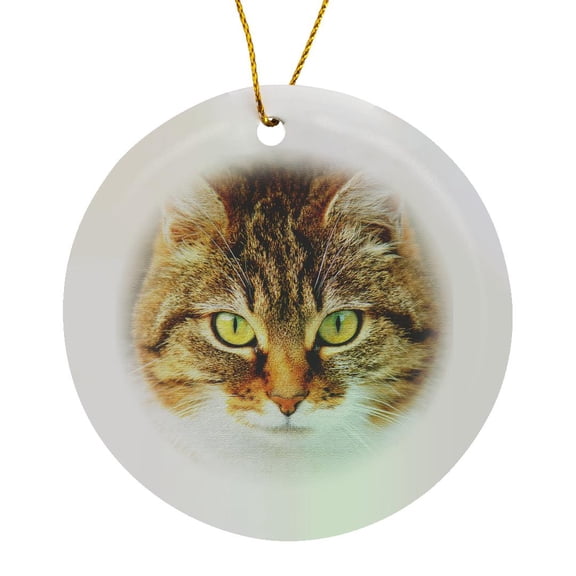 3drose, Cute Image of Cat. Domestic Cat. Cat People, Animal, Pet, Kitty, Circle Porcelain Ornament