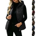 thumbnail image 1 of Cute Jackets Women's Winter Solid Color Quilted Hooded Cotton Jacket With Zip Lining And Pockets Black S, 1 of 7