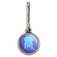 thumbnail image 1 of Cute Jellyfish Tentacles Ocean Antiqued Charm Clothes Purse Suitcase Backpack Zipper Pull Aid, 1 of 4