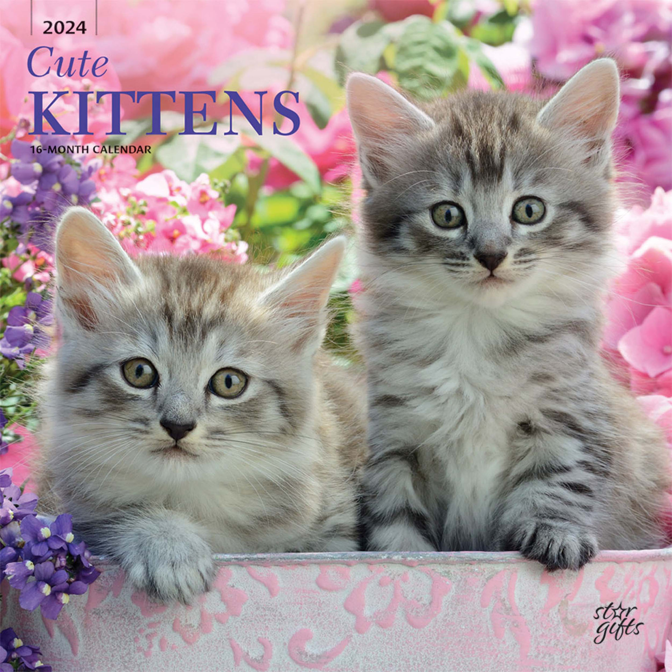Puppy and Kitten Calendar 2024 Puppy and Kitten Calendar 2024