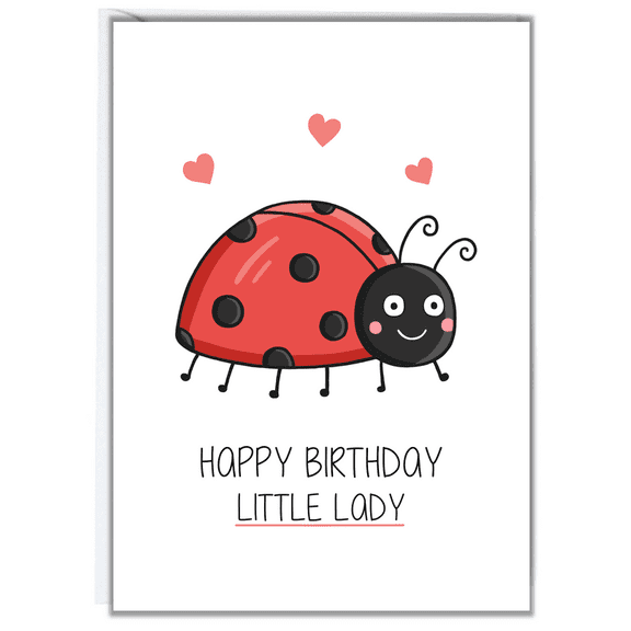 Cute Ladybug Birthday Card for Little Girl Happy Birthday Little Lady Design Envelope Included, Blank Inside Perfect for Kids Birthdays