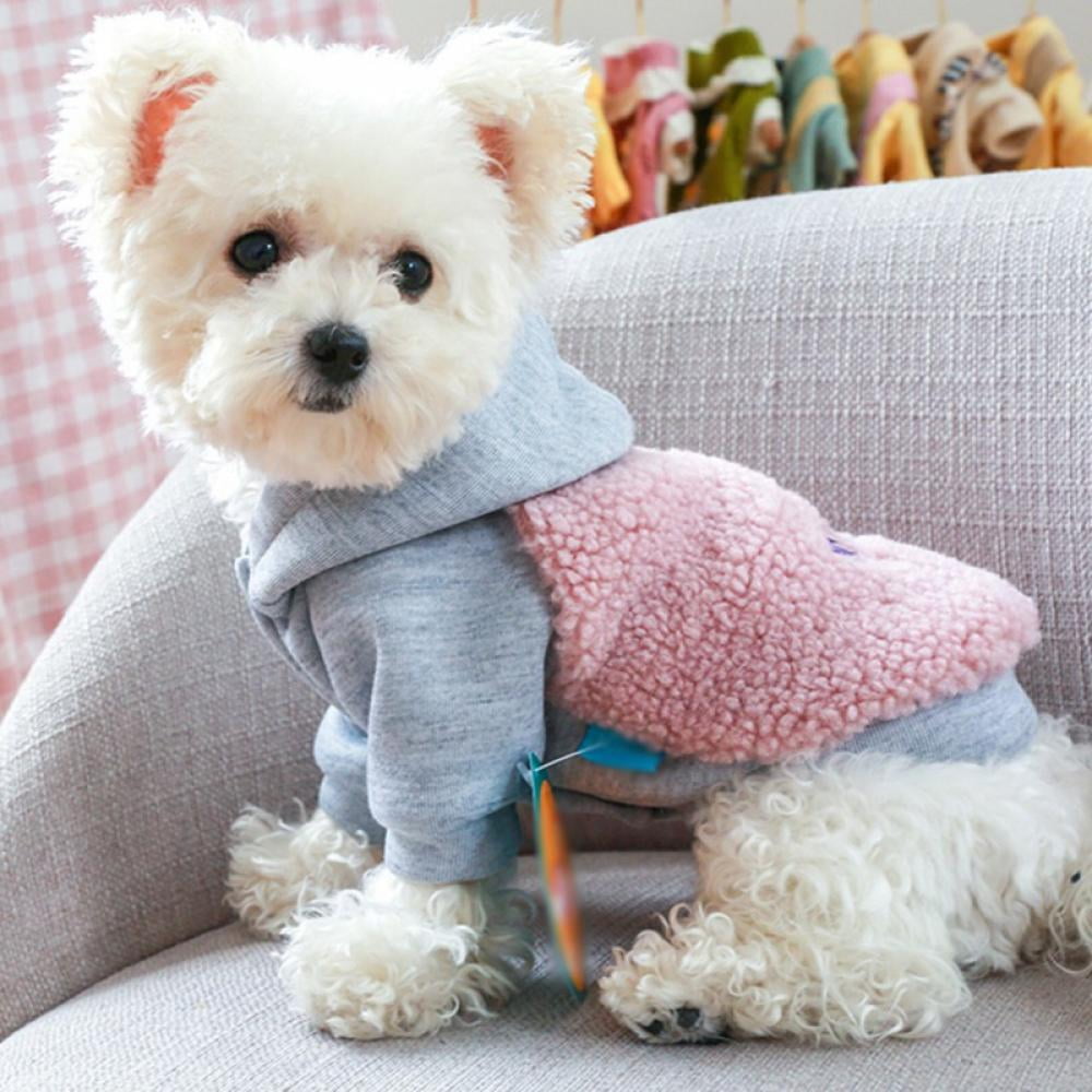 Shih store tzu jackets