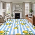 thumbnail image 1 of Cute Lemon Summer Area Rugs 8'x10', Washable Small Throw Rugs for Living Room Patio, Farmhouse Floral Blue Striped Indoor Outdoor Rug Non-Slip Low Pile Carpet Runner Reversible Floor Mats, 1 of 8