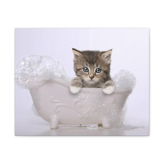 Cute Main Coon Kitten Bathee Canvas Wall Art for Home Decor Ready-to-Hang