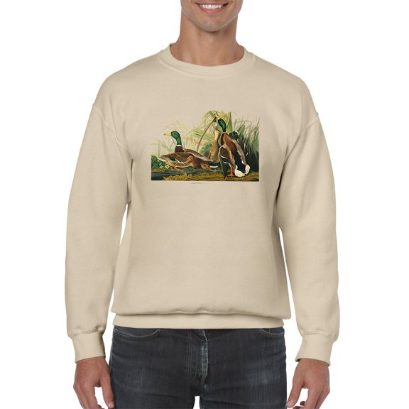 Cute Mallard Ducks Sweatshirt Men -John James Audubon Designs, Male 3X-Large