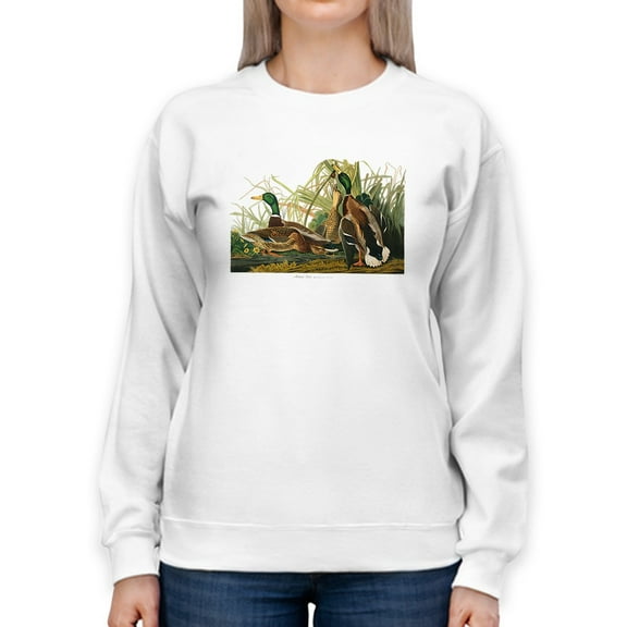 Cute Mallard Ducks Sweatshirt Women -John James Audubon Designs, Female 5X-Large