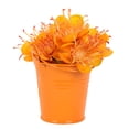 thumbnail image 1 of Cute Mini Solid Color Pail Bucket Wedding Party Candy Favours Home Hotel Decor by Mightlink, 1 of 7