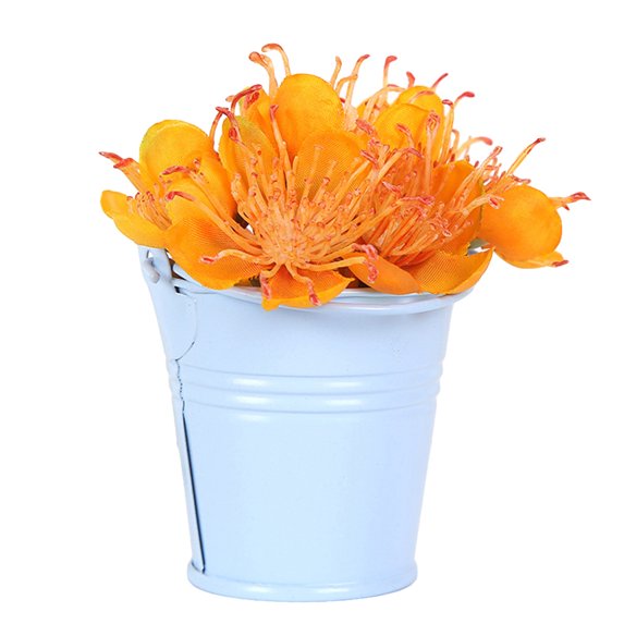 Cute Mini Solid Color Pail Bucket Wedding Party Candy Favours Home Hotel Decor by Mightlink