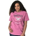 thumbnail image 1 of Cute Missouri Show Me State Eagle Women's Plus Size Graphic Tee Brisco Brands 4X, 1 of 5