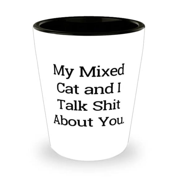 Cute Mixed Cat, My Mixed Cat and I Talk Shit About You, Joke Shot Glass For Cat Lovers From Friends