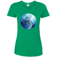 thumbnail image 1 of Cute Nocturnal Snow Owl Winter Animal Lover Womens Graphic T-Shirt, 1 of 1