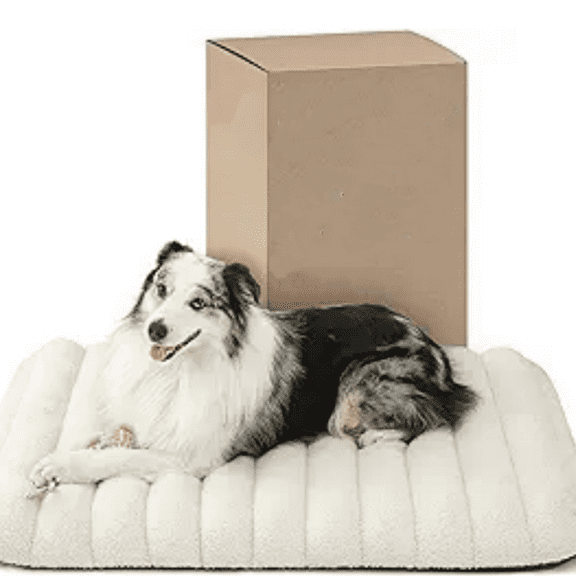 Cute Orthopedic Dog Bed for Large Dogs, Waterproof Chic Flat Pet Mat with Removable Washable Cover, Fuzzy Thick Egg Crate Foam Pet Mattress for Indoor Use (36" x 27", Cream)