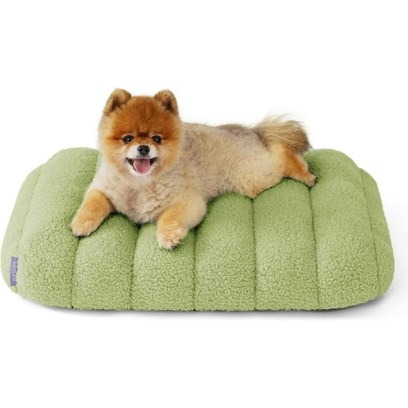 Cute Orthopedic Dog Bed for Small Dogs, Waterproof Chic Flat Pet Mat with Removable Washable Cover, Fuzzy Thick Egg Crate Foam Pet Mattress for Indoor Use (24" x 18",Green