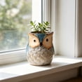 thumbnail image 1 of Cute Owl Ceramic Planter 2.6 Inch, Small Succulent Cactus Flower Pot for Indoor Outdoor Home Office Decor, Animal Style Tabletop Garden Decor Pot Gift, 1 of 6