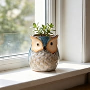 Cute Owl Ceramic Succulent Planter, Small Animal Flower Pot for Indoor Plants & Home Decor