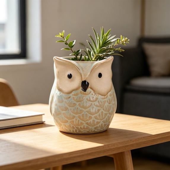 Cute Owl Ceramic Succulent Planter, Small Animal Flower Pot for Indoor Plants & Home Decor