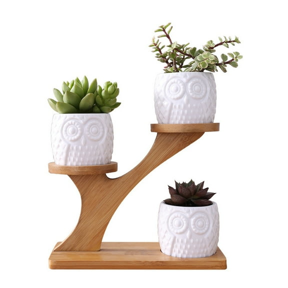 Cute Owl Pot Cactus Planter Flowerpot Set With Shelf Tray Decor