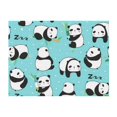 Cute Panda Flannel Blanket Soft Lightweight Plush Fuzzy Cozy Luxury