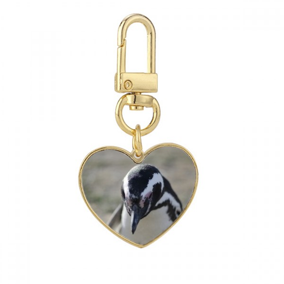 Cute Penguins Science Nature Picture Gold Heart Keychain Metal Keyring Holder