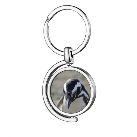 Cute Penguins Science Nature Picture Rotating Keychain Metal Keyring Holder