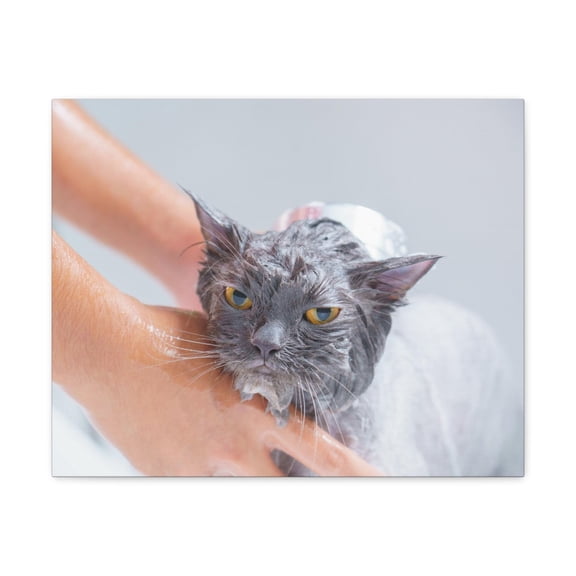 Cute Persian Cat Bath Canvas Wall Art for Home Decor Ready-to-Hang