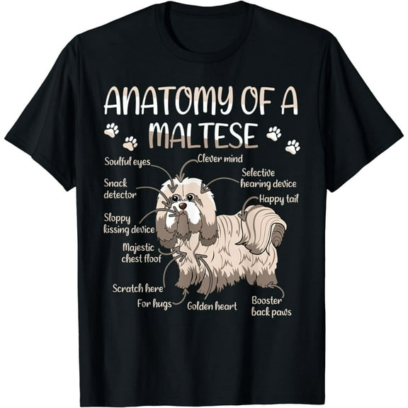 Cute Pet Dog Definition Animal Anatomy Of Maltese T-Shirt